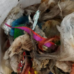 WhatsApp Image 2023-12-25 at 20.00.40 (1)