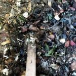 WhatsApp Image 2023-12-25 at 20.00.41 (1)